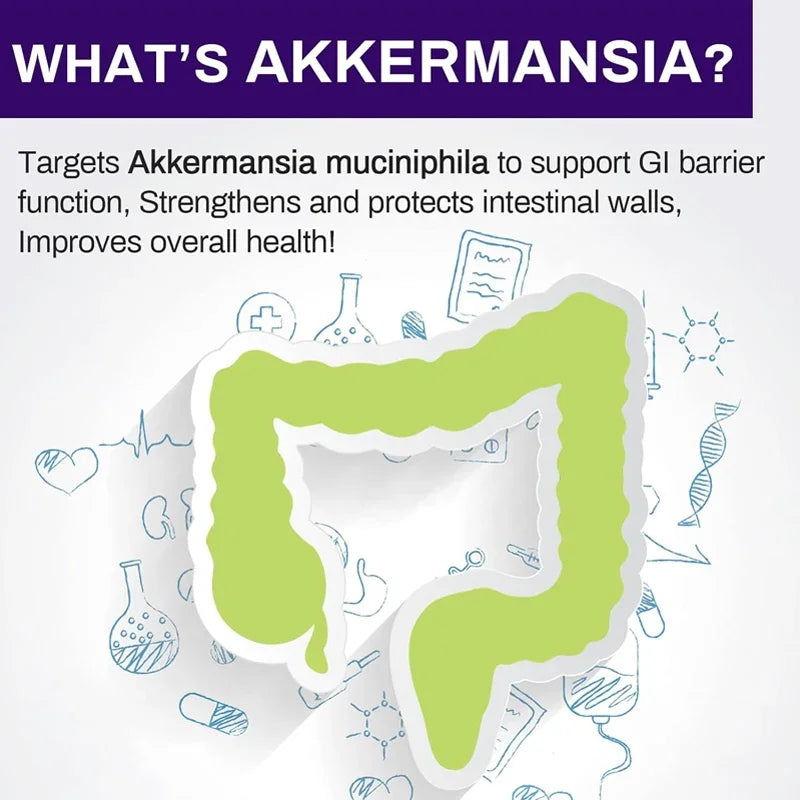 300 billion AFU Akkermansia Muciniphila live probiotic digestion